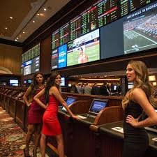 Privacy policy and account safety note for 888bet users on shared devices